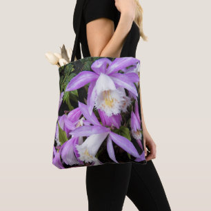 Pleione Fensterbank-Orchideen Blumen