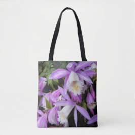 Pleione Windows Orchids Floral