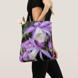 Pleione Windows Orchids Floral