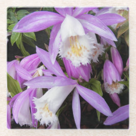 Pleione Windows Orchids Floral Glasuntersetzer