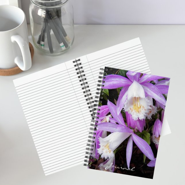 Pleione Windows Orchids Floral Notizbuch (In Situ)