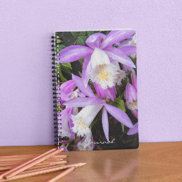 Pleione Windows Orchids Floral Notizbuch