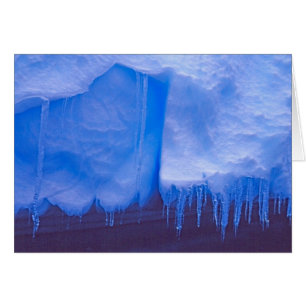 Pleneau-Eisberg-Friedhof, Antarktika: Blau