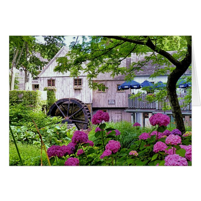 Plimoth Grist Mill am Jenney Pond im Sommer (Vorderseite (Horizontal))