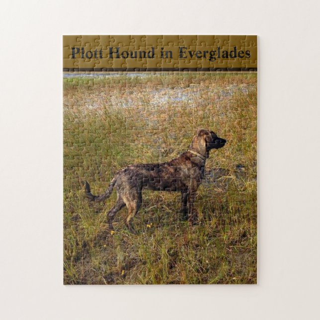 Plott Hound in Everglades Florida Jigsaw Puzzle (Vertikal)