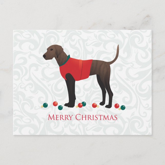 Plott Hound Weihnachten (Vorderseite)