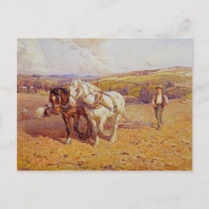 Ploughing Postkarte