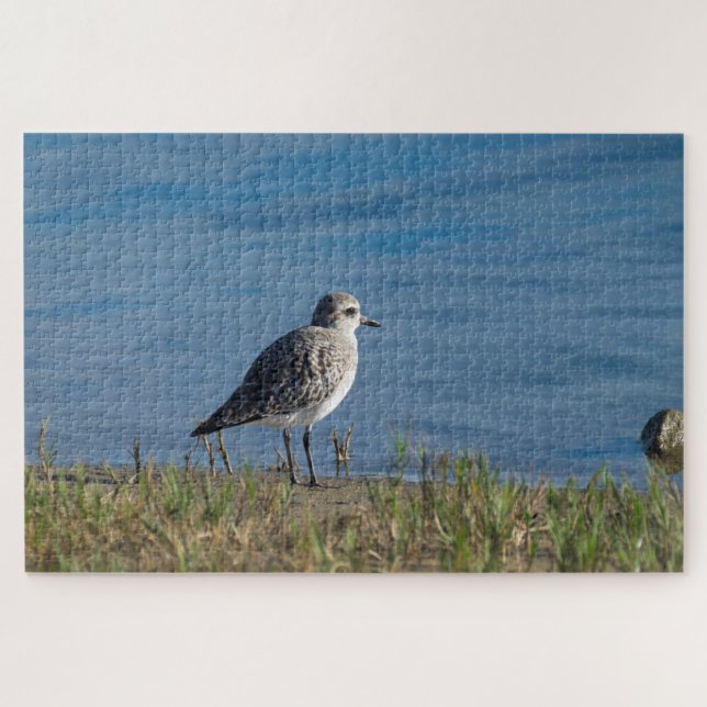 Plover Puzzle (Horizontal)