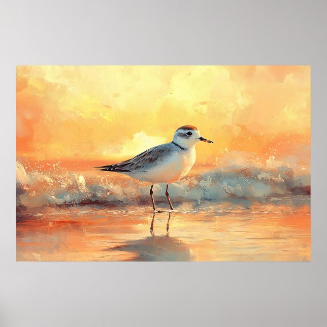 Plover Standing in Ocean Waves During Sunset Poster (Vorne)