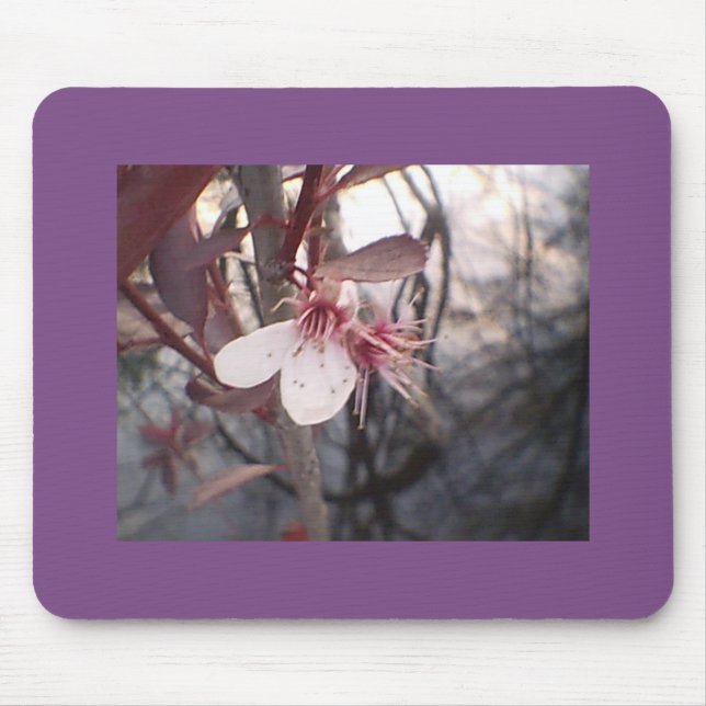 Plum Bloom Mousepad (Vorne)