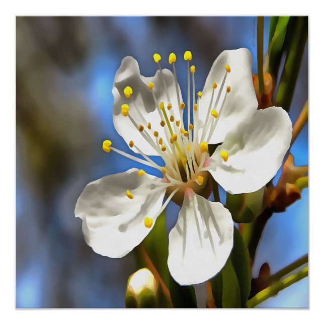 Plum Blossom Botanische Kunst Poster (Vorderseite)