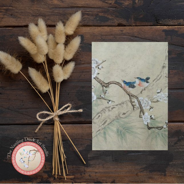 Plum Blossom im Frühling Postkarte (Von Creator hochgeladen)