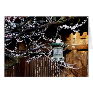 Plum Blossom und Metal Lantern