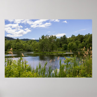 Plum Brook Teich Poster