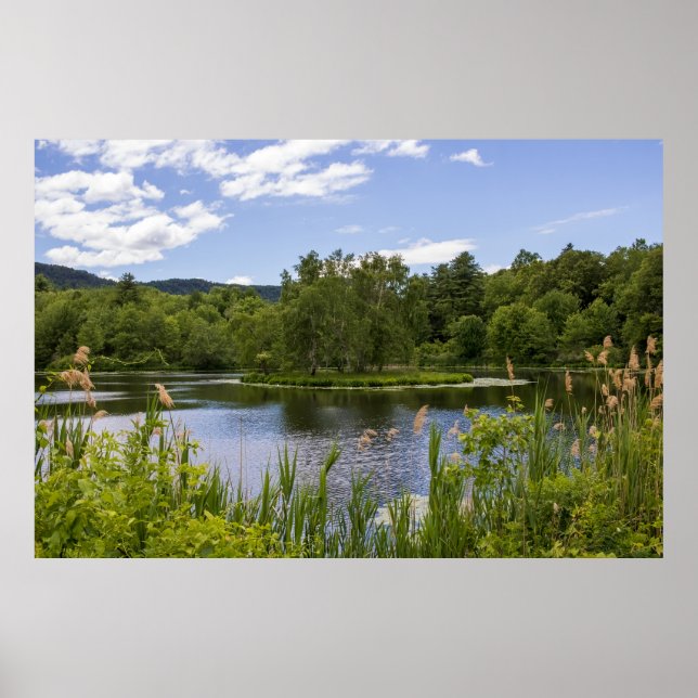 Plum Brook Teich Poster (Vorne)