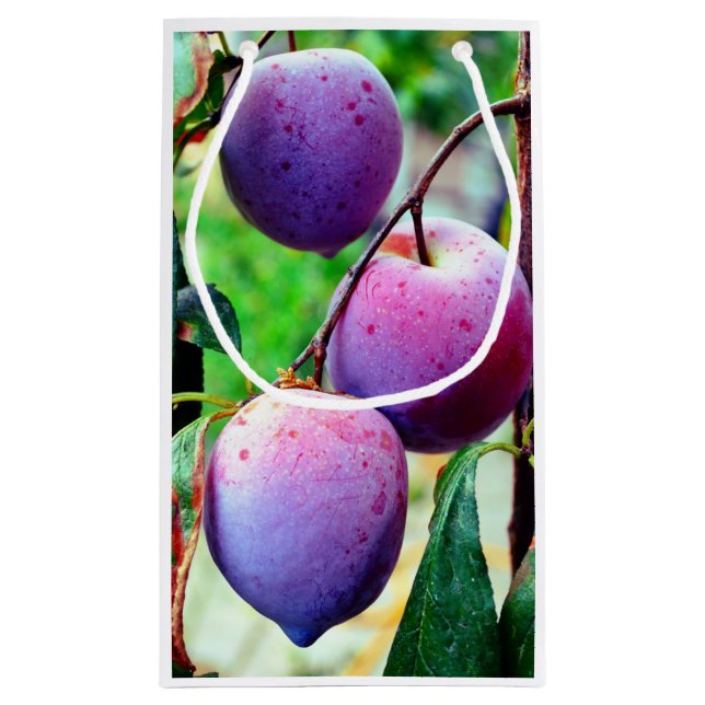 Plum Fruchtgeschenktasche Kleine Geschenktüte (Rückseite)