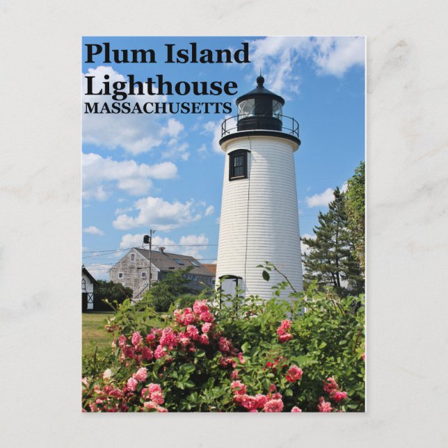 Plum Island Lighthouse, Massachusetts Postkarte (Vorderseite)