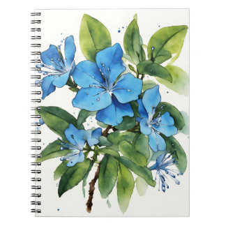 Plumbago Auriculata - Watercolor flowers Notizblock