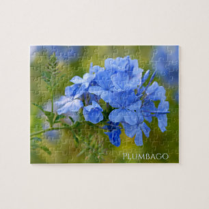 Plumbago - Blue Summer Blume Floral Fotografie Puzzle