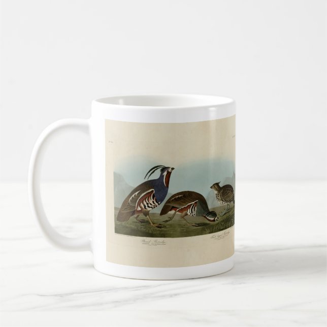 Plumed & Thick-Leged Partridges - Audubons Vögel Kaffeetasse (Links)