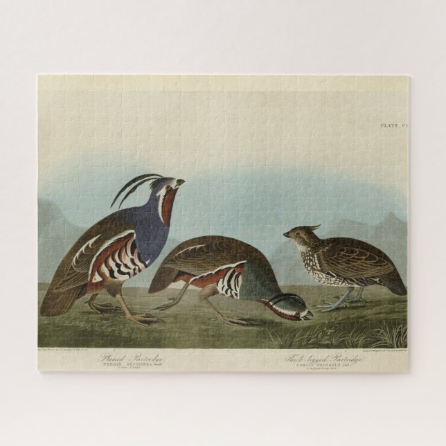 Plumed & Thick-Leged Partridges - Audubons Vögel Puzzle (Horizontal)