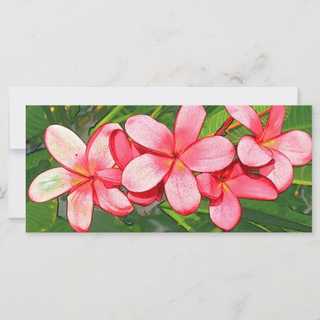 Plumeria (Vorderseite)