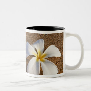 Plumeria an einem Sandstrand, Maui, Hawaii, USA Zweifarbige Tasse