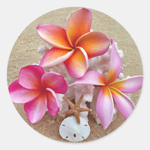Plumeria auf Muscheln am Strand Runder Aufkleber