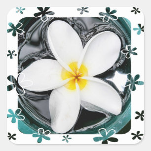 Plumeria-Aufkleber Quadratischer Aufkleber