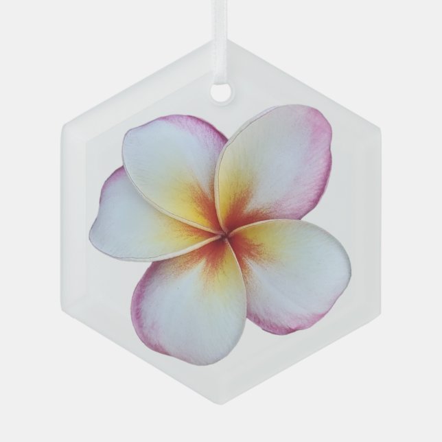 Plumeria Bloom Glass Ornament Aus Glas (Vorderseite)