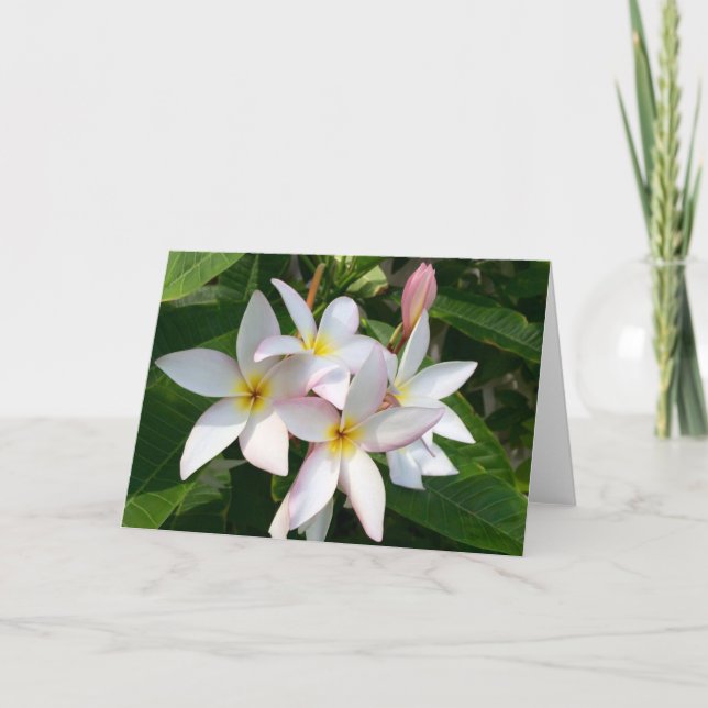 Plumeria Blooms Blank Card Dankeskarte (Vorderseite)