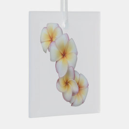 Plumeria Blooms Glass Ornament Aus Glas