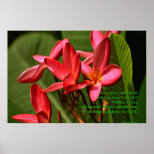 Plumeria Blume Foto mit Khalil Gibran Zitat Poster