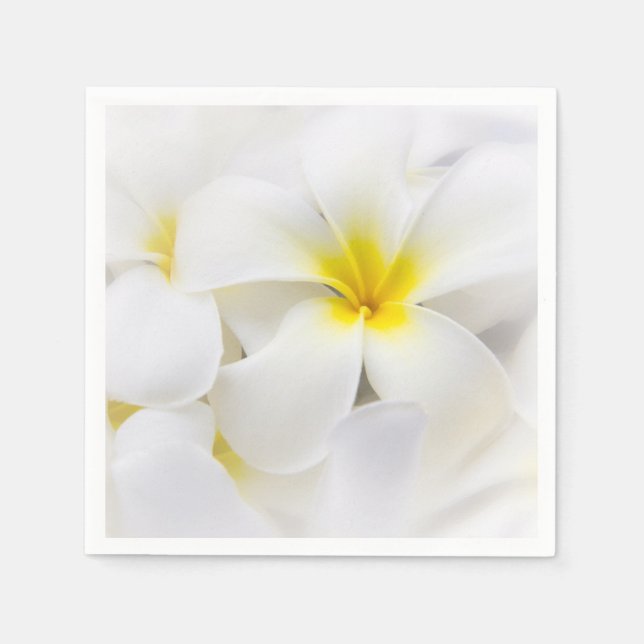 Plumeria Blume Hawaiianische Frangipani Blume Serviette (Vorderseite)
