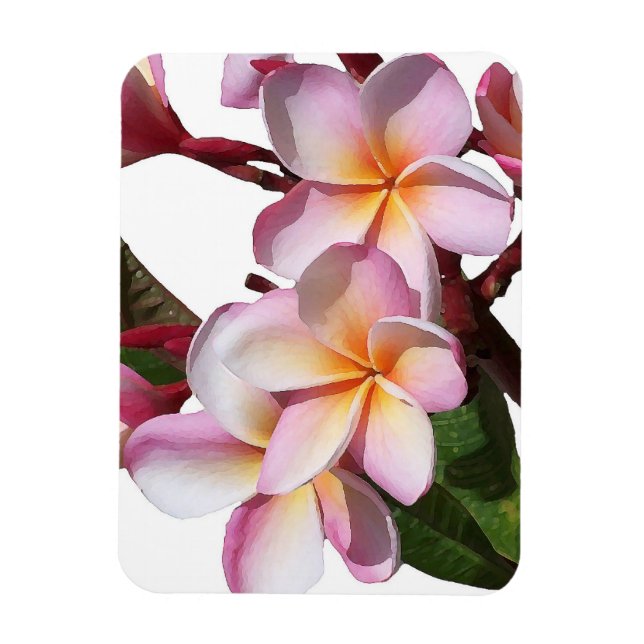 Plumeria Blume Premium Magnet (Vertikal)