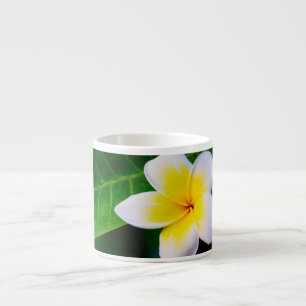 Plumeria-Blumenfotografie Espressotasse