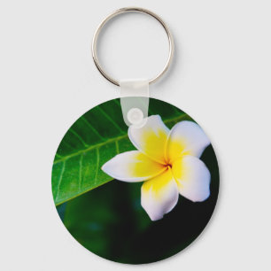 Plumeria-Blumenfotografie Schlüsselanhänger