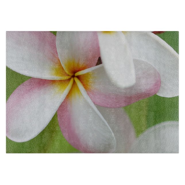 Plumeria-Blumenhawaiischer Frangipani-BlumenBlume Schneidebrett (Vorderseite)