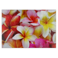 Plumeria-Blumenhawaiischer Frangipani mit Blumen