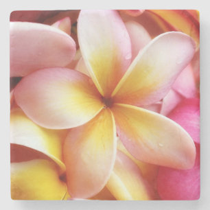 Plumeria-Blumenhawaiischer Frangipani mit Blumen Steinuntersetzer