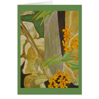 Plumeria-Blüte im Creekbed Aquarell