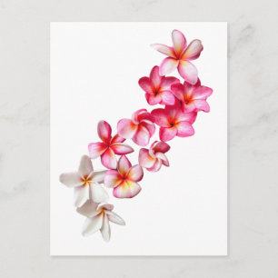 Plumeria-Blüten-Collage Postkarte