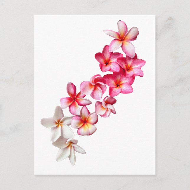 Plumeria-Blüten-Collage Postkarte (Vorderseite)