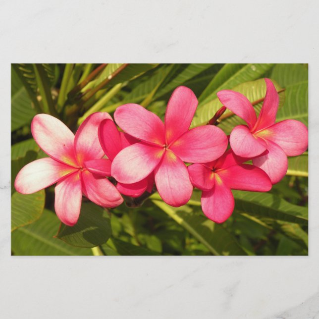 Plumeria Briefpapier (Vorderseite)