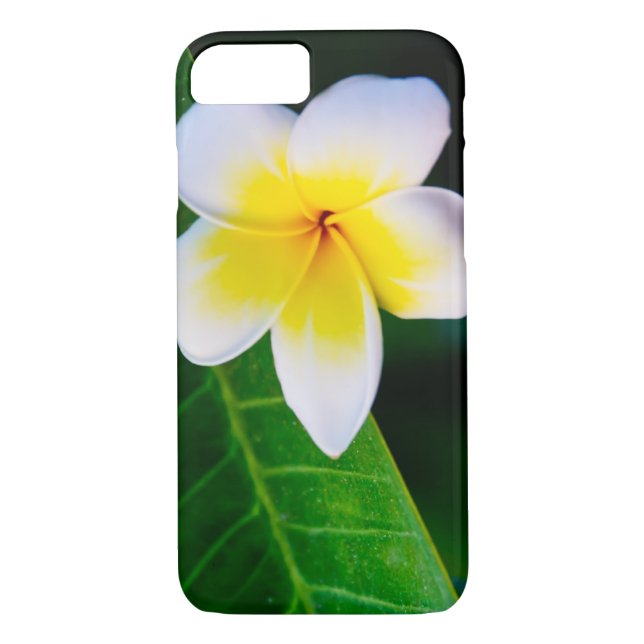 Plumeria Case-Mate iPhone Hülle (Rückseite)