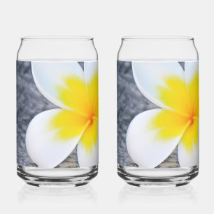 Plumeria Dosenglas