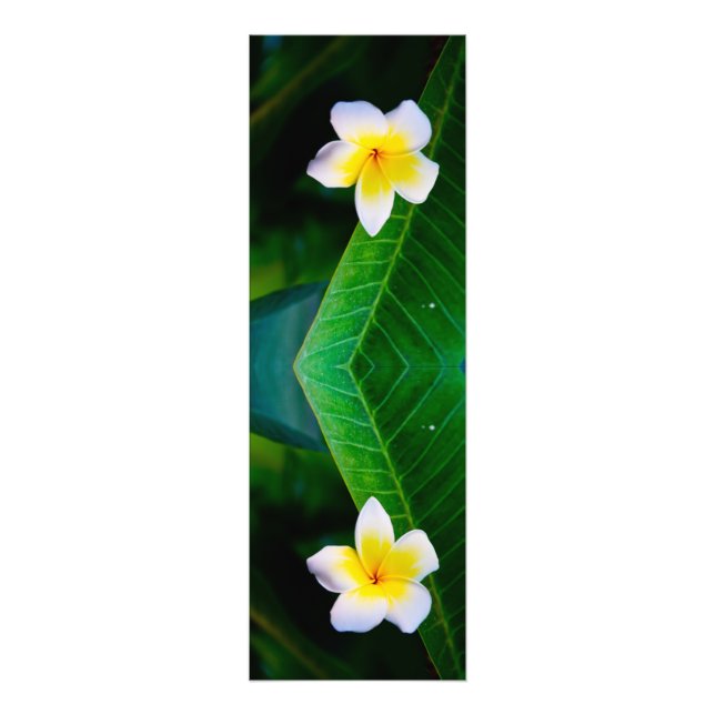 Plumeria Fotodruck (Vorne)