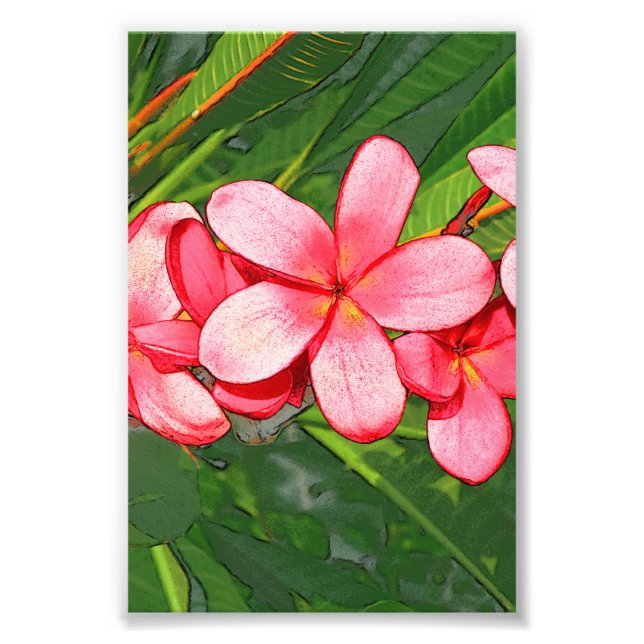 Plumeria Fotodruck (Vorne)
