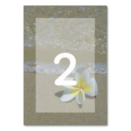 Plumeria Frangipani auf Sand Wedding Tischnummer