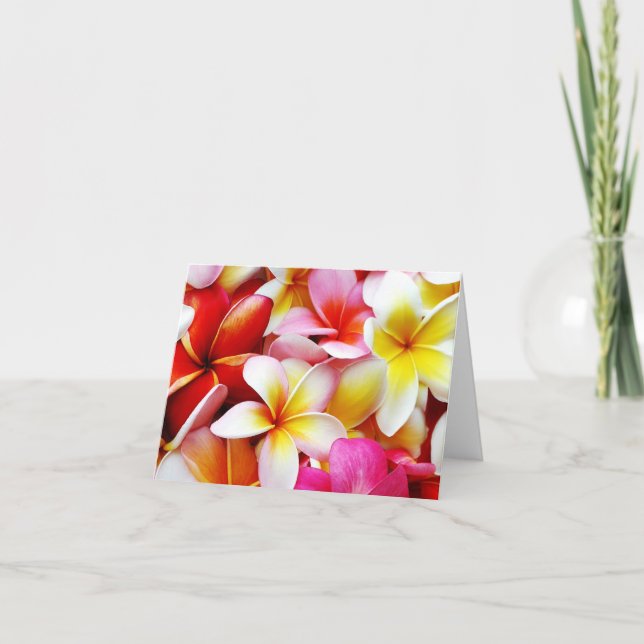 Plumeria Frangipani Hawaii Blume Hawaiianische Blu Karte (Vorderseite)